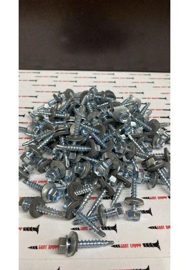 Stroj Tut Çatı Vidaları 4,8x29 Galvanizli 100 Adet 355458105 Diğer