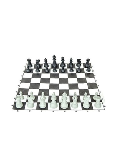 Dede Büyük Boy Satranç Okullara Özel Rulo Spot Karton