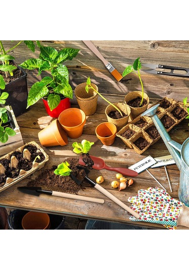 Qingmipy 13 Parçalık Mini Bahçe Alet Seti - Sukulent, Kaktüs Ve Bonsai Dikimi İçin Pratik Çapa, Makas Ve Fırça Takımı