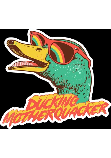 Pride Ördek Sticker 10x10 Cmrenkli Sticker