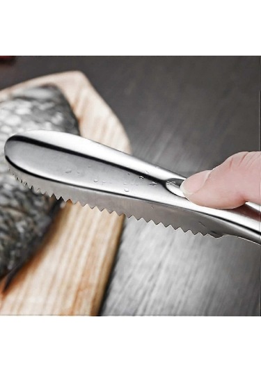 Pratik Balık Pulu Kazıyıcı Aparat Diğer