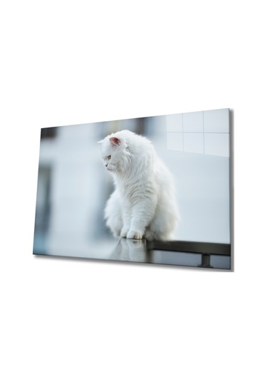 Beyaz Kedi Cam Tablo