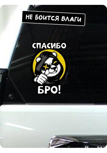 Stadi Erkekler İçin Araba İçin Eğlenceli Çıkartma 266513165