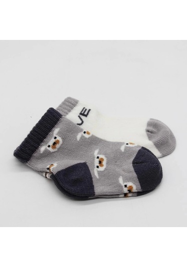 Bistyle Love Dog Penye Soket Çorap 2'li Bs10118 Gri Gri