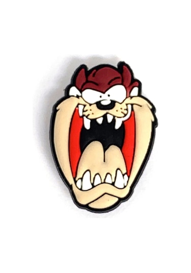 Crocs Terlik Süsü & Renkli Aksesuar Jibbitz (475024163) Çok Renkli