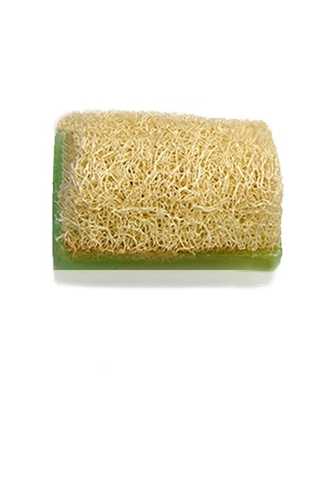 Kabak Lifli Eşek Sütü ve Aloe Vera Sabun