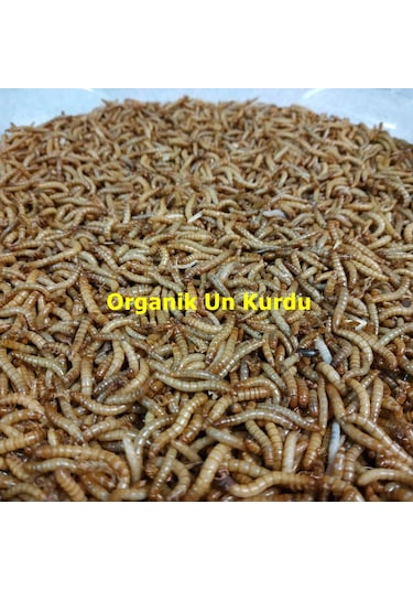Un Kurdu 1 Kg