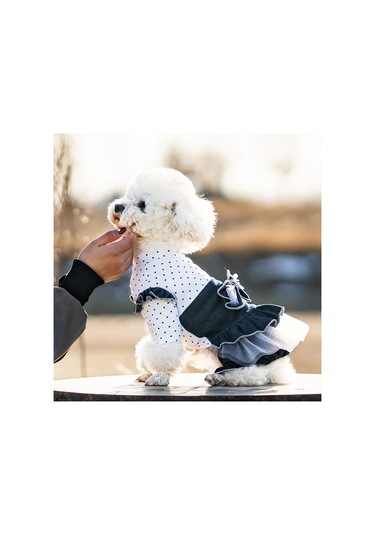 Best Golden Monkey Köpekler İçin Tulum 450280287