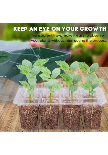 Willowhaven 10lu Tohum Başlatma Tepsisi 120 Hücre Yükseltilmiş Kapaklı Sera Bahçe