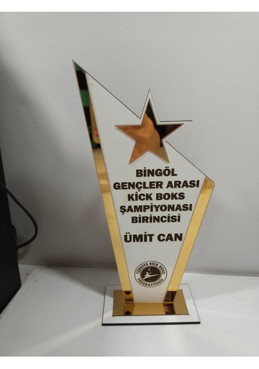 Plaket Karete/boks/judo/muay Thai/kick Boks Turnuvaları Altın