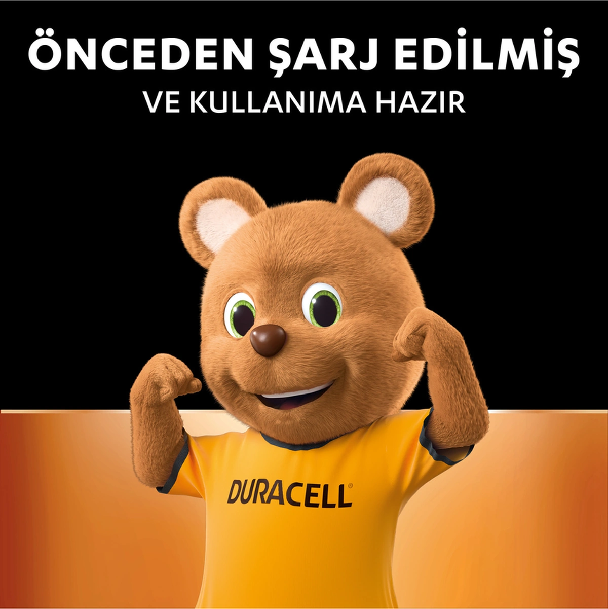 Şarj Edilebilir Aa 2500mah Piller, 4'lü Paket