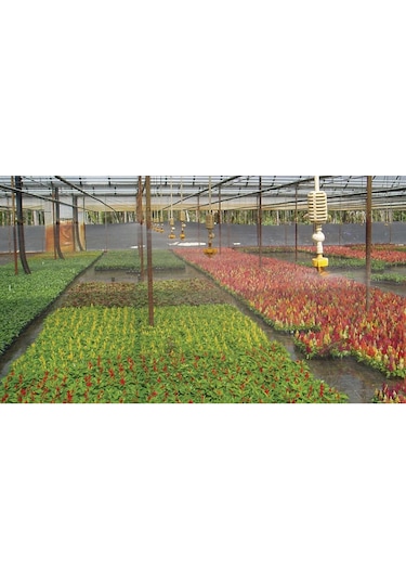 Sera Fiskiyesi Spin Net Netafim