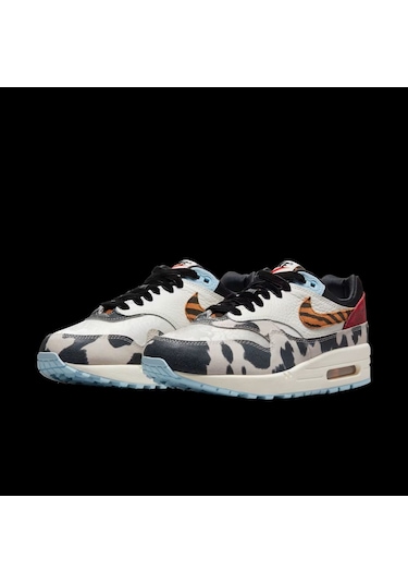 Nike Women's Air Max 1 '87 Çok Renkli