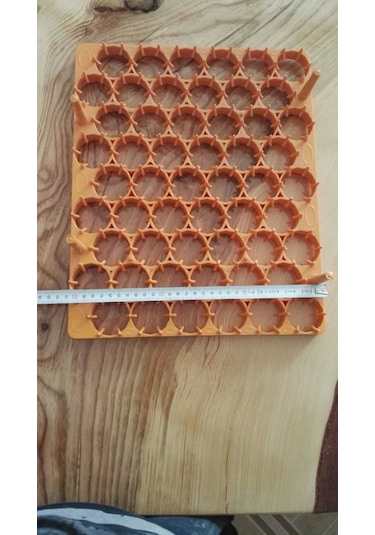 Gelişim viyolu 54 lü Tavuk