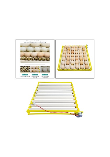 Suntek Yumurta Kuluçka Tepsisi Otomatik Silindiri Ev 9-tüp