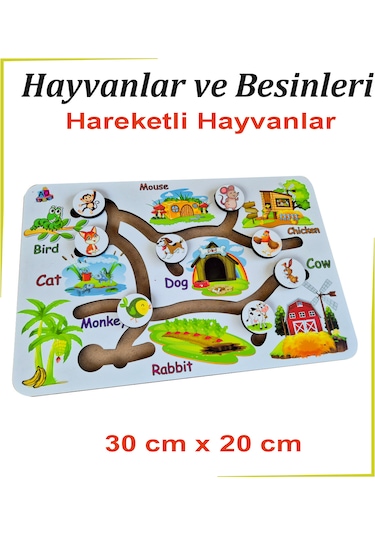 Beyaz Hareketli Hayvanlar Ve Besinleri