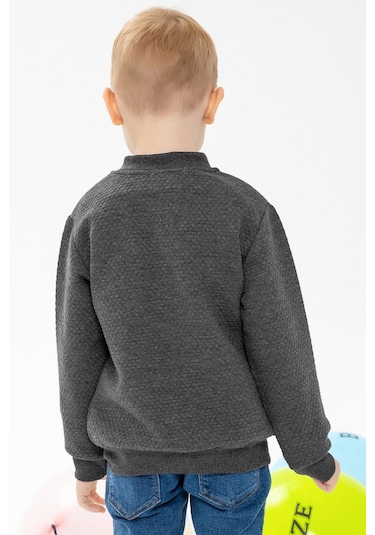 Breeze Erkek Çocuk Hırka Basic Cepli Armalı 2-6 Yaş, Füme-füme