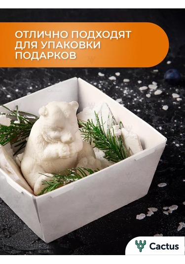 Cactus Bento Kutusu, Kek Kutusu 10 Cm, 10 Adet 254505675 100 adet