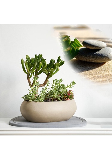 Xurunkeji Adet Bitki Tabağı, Hızlı Kuruyan Bitki Tepsisi, Diyatomlu Toprak Bitki Su Tutma Tepsisi İç Ve Dış Mekanlar İçin Koyu Gri