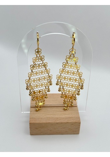 Arnes Jewelry Çelik 22 Ayar Altın Kaplama Kişnişli Küpe Ar343nes Gold