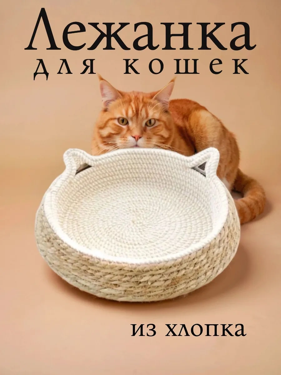 Vektorı Kediler Ve Köpekler İçin Tırmalama Yatak 463851795