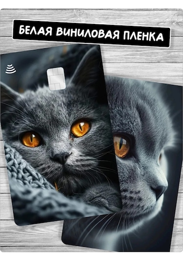 Stadi Kedi Kartı İçin Bant Kedi Şalı Şeklinde Yapışkanlı Etiket Veya Kedi Baskılı Yapışkanlı Kart Kılıfı 388856396