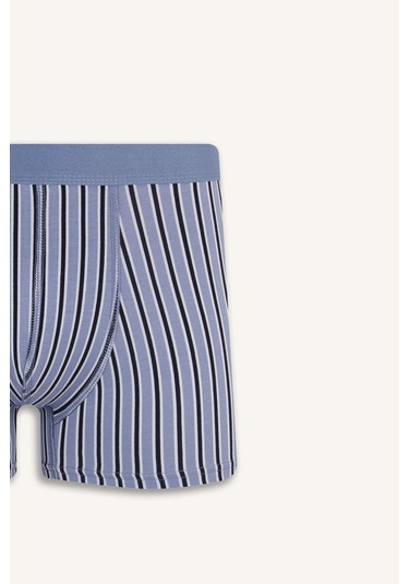 DeFacto Regular Fit Çizgili 3'lü Boxer E7203AX25SMNV135