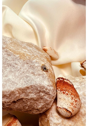 Skull Tasarım Taşlı Halka Altın Gold Renk 316l Stainless Steel Çelik Piercing Tragus Helix Altın