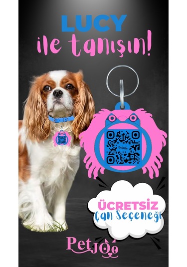 Petjoo 11.Lucy Pembe-Mavi Qr'lı Köpek Künyesi