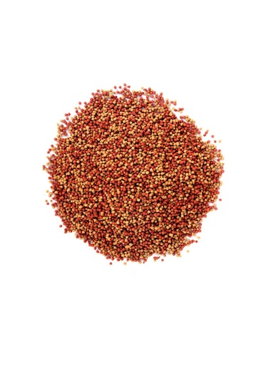 Gold Mix Granulat 6x100ml Japon Balık Yemi ve Vitamini