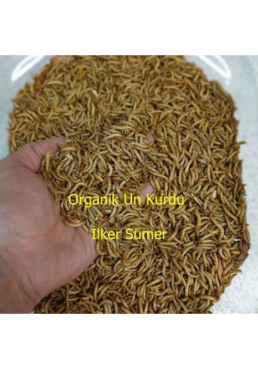 Un Kurdu 100 Gram