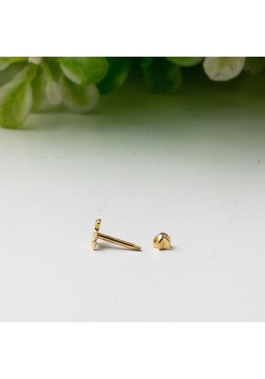 Bilezikci  14 Ayar Altın Tragus Piercing Küpe Kphsy14k22506