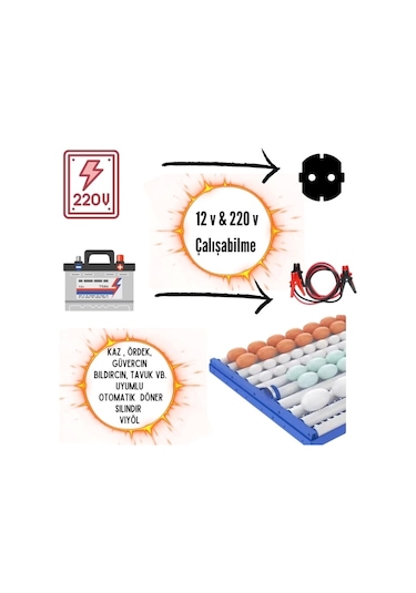 Kabin Tip 64 Tavuk Yumurta Kapasiteli Kuluçka Makinesi