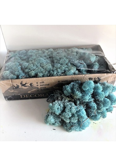 Reindeer moss AQUAMARİNE(TURKUAZ) şoklanmış norveç yosunu