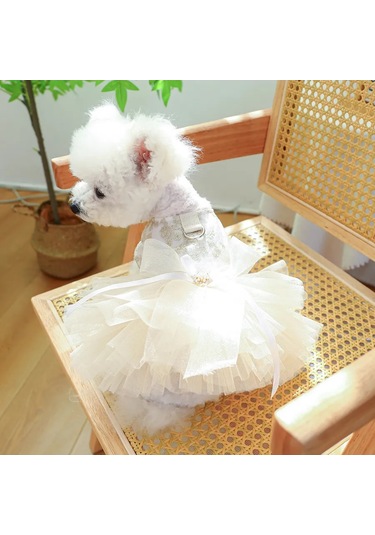 Best Golden Monkey Köpek Elbisesi "nazik" 423646011