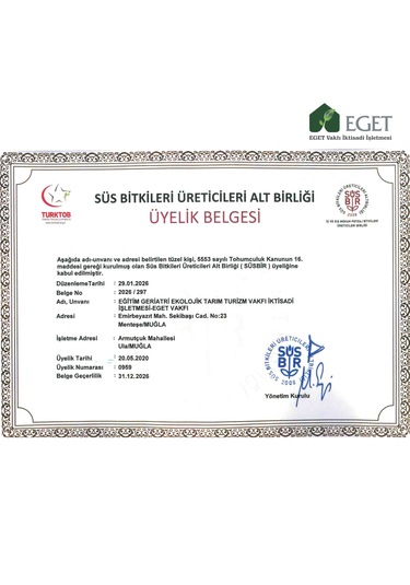 Saksıda Organik Lavanta - 2 Saksı