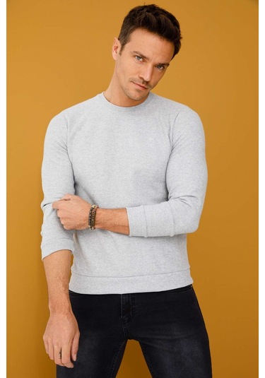 İgs Erkek Gri Standart Bisiklet Yaka Triko Gri