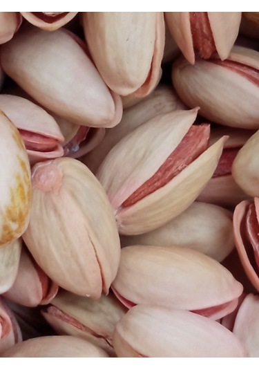 Siirt Fıstığı 1 Kg Tuzsuz 1 KG