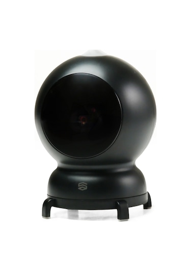 Şımart Akıllı Kedi Oyuncağı