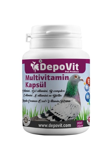 Multi Vitamin Kapsül 100 Adet