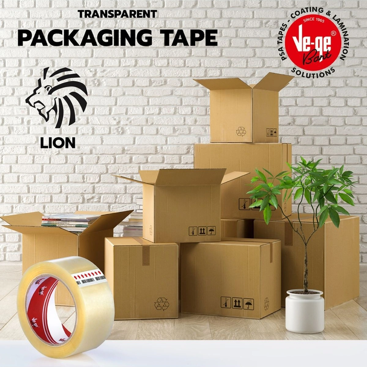 Koli Bantı Aslan 45x100 Şeffaf 6 Adet Diğer