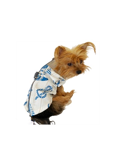 Kemique Blue Nautica Su itici Yağmurluk Köpek Yağmurluğu