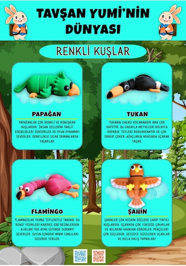 Tavşan Yumi Renkli Kuşlar Koleksiyonu - 4 Parça 5-7 Cm Hareketli Oyuncaklar Ve Bilgilendirici Kartlar "