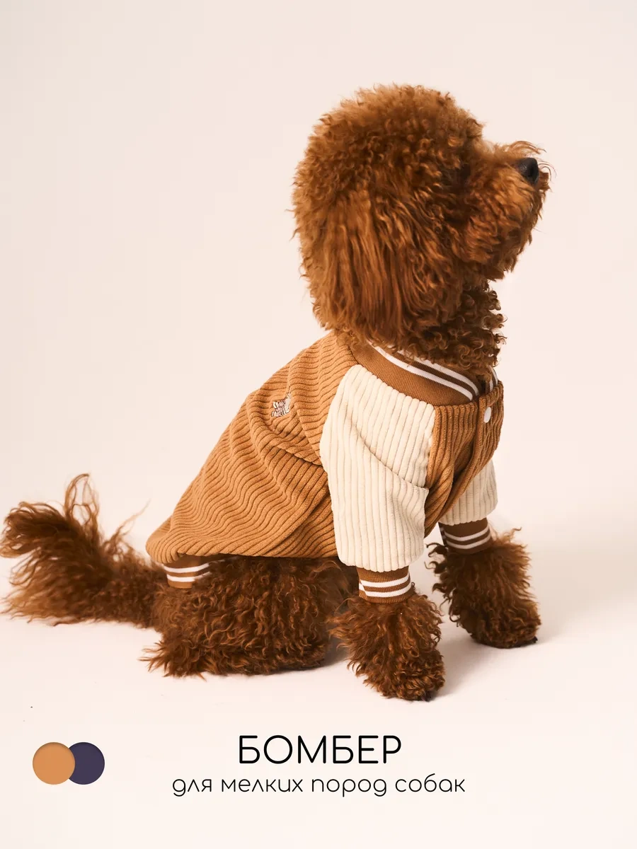 Petite Pets Küçük Irk Köpekler İçin Bomber Ceket 338568298