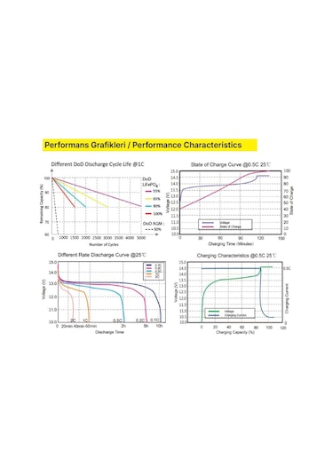 Gesper Energy 12v-100ah Lifepo4 Batarya