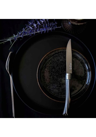 Opinel Chic 4'lü Et Bıçağı Seti - Lamine Huş Ağacı Laminated Birch Wood Çok Renkli