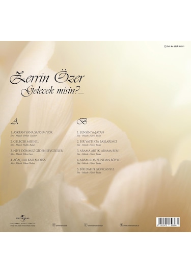 Zerrin Özer - Gelecek Misin Plak