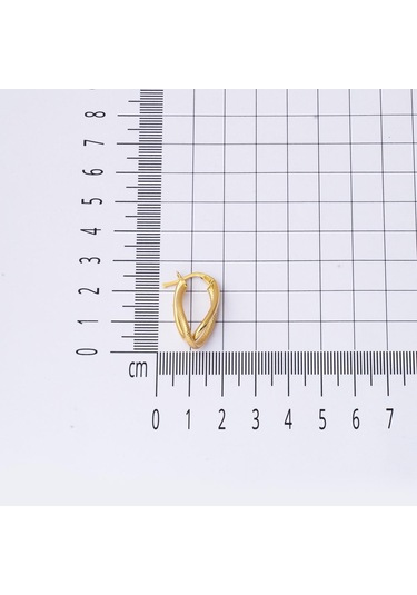 2,5 cm Çaplı 14 Ayar Asimetrik Altın Küpe KPDLY14K21909
