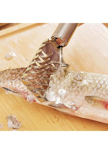 MSO Paslanmaz Çelik Balık Pulu Temizleme Aparatı