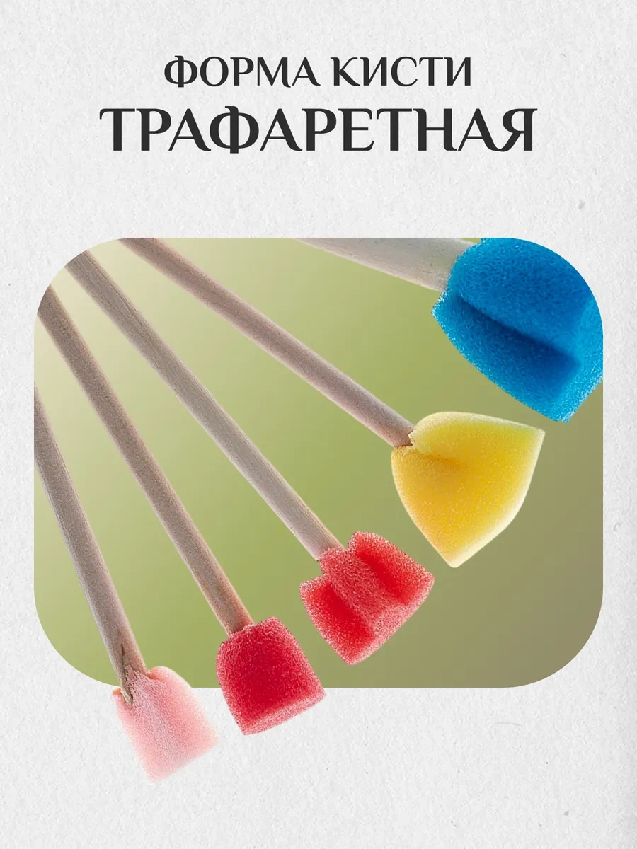 Calligrata 5'li Sünger Ve Fırça Seti 12714518